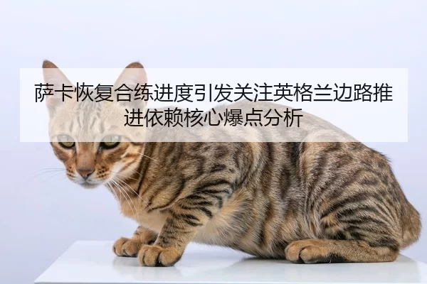 萨卡恢复合练进度引发关注英格兰边路推进依赖核心爆点分析