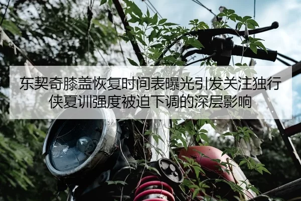 东契奇膝盖恢复时间表曝光引发关注独行侠夏训强度被迫下调的深层影响