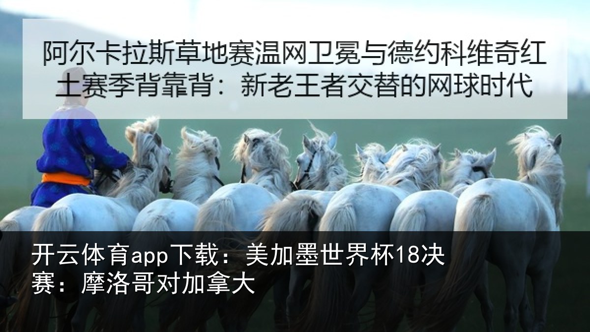 开云体育app下载：美加相关情况哥对加拿大