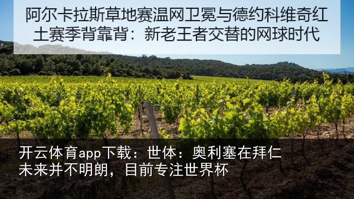 开云体育app下载:世体相关情况并不相关情况杯