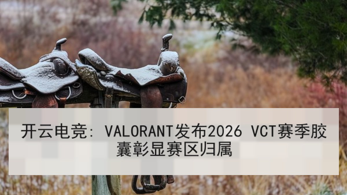 开云电竞: VALORANT发布2026 VCT赛季胶囊彰显赛区归属