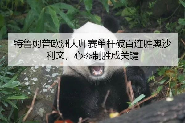 特鲁姆普欧洲大师赛单杆破百连胜奥沙利文，心态制胜成关键
