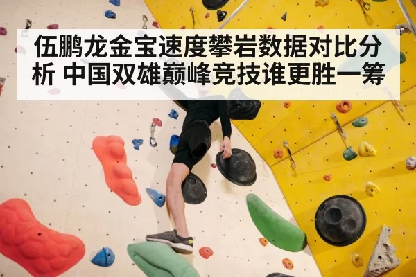 indoor climbing wall